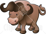 bufalo