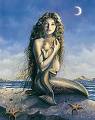 Sirena