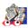 Logo della sezione