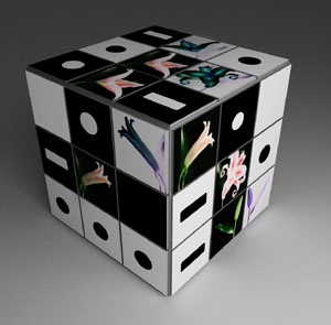 Dettaglio di cubo esposto