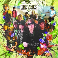 Copertina del disco Melodia di The Vines