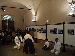 esibizione di aikido