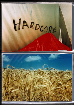 Foto doppia: nella parte superiore scritta 'hardcore' su telo, nella parte inferiore campo di grano.