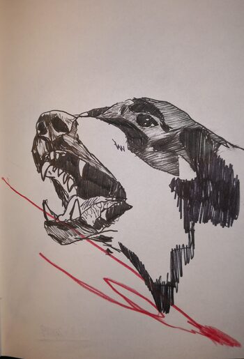disegno a china raffigurante una cane del progetto 'Randagio' di REVE